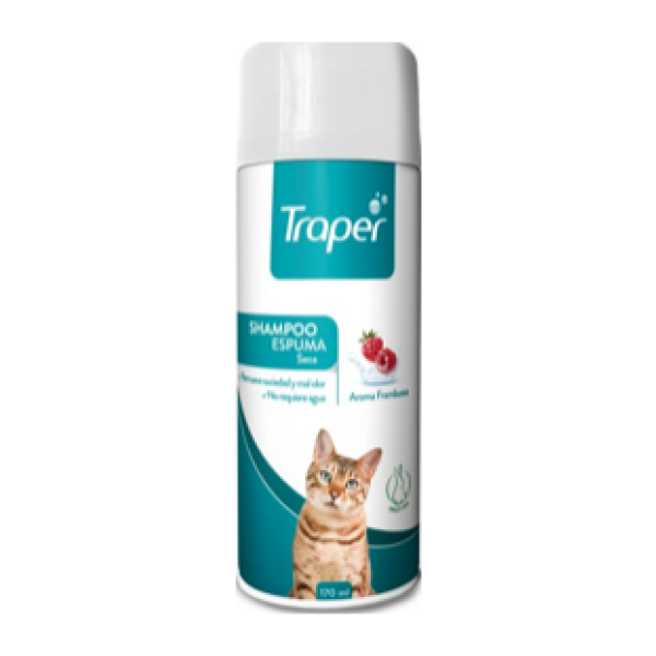 Traper espuma gato